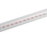 Фито светильник Camelion LWL-2024-02, 12 Вт, IP40, 900мм 15830 4