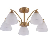 Люстра Schaffner Ricerca 4110-5, цвет медный, 300 Вт Ricerca 4110-5 CU