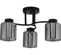 Люстра Schaffner Freddo 4575-3, цвет черный, 120 Вт Freddo 4575-3 BK