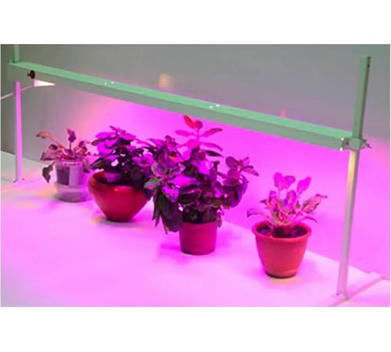 Светодиодный фитосветильник Петромаш LED-15 30 Вт 61936