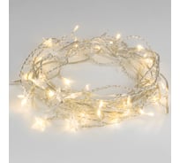 Электрическая бытовая гирлянда Eurosvet 100-002 бахрома, теплый белый a049842