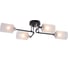 Люстра Schaffner Escrito 4230-4, цвет черный/хром, 240 Вт Escrito 4230-4 BK+CR 2