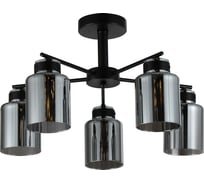 Люстра Schaffner 5xE27/40W (52*52*30) Ferrico 4590-5 BK