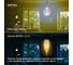Светодиодная лампочка ФОТОН филаментная LED FL BXS35-S 4Вт E27 2200К, теплый свет, 23963 6