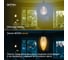 Светодиодная лампочка ФОТОН филаментная LED FL B35-S 4Вт E27 2200К, теплый свет, 23940 9