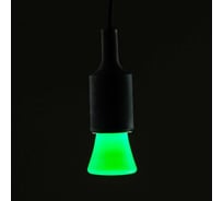 Светодиодная лампа Luazon Lighting декоративная "Фонарик", 5 SMD2835, для белт-лайта, зеленый 2580327