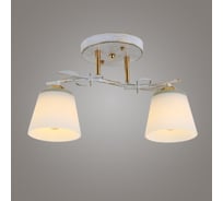 Люстра Ritter Modern 145/2 2хE27 золото 52510 3