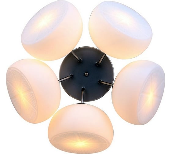 Потолочная люстра ST LUCE ARANCIO SL482.502.05