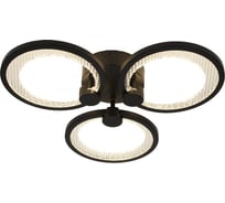 Светильник потолочный светодиодный ЭРА Модерн Odry CLL-1-46-RC BK с ДУ 46W 3000-6500К черный Б0069750