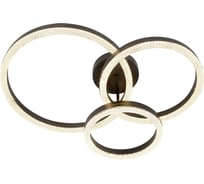 Светильник потолочный светодиодный ЭРА Модерн Bloom CLL-1-110W 3K-6K RC BK с ДУ черный Б0069754