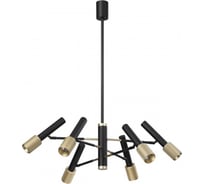 Потолочный светильник ODEON LIGHT GU10 6*10W MEHARI 4240_6C