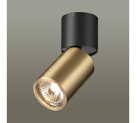Потолочный светильник ODEON LIGHT GU10 1*10W DUETTA 4280_1C