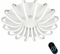 Потолочная светодиодная люстра Omnilux OML-48107-112