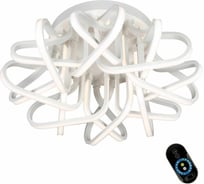 Потолочная светодиодная люстра Omnilux OML-48007-192