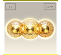 Бра светодиодное Citilux JANTAR CL240333