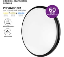 Светодиодный светильник Geniled настенно потолочный накладной Orbita c блоком аварийного питания БАП круглый черный 08975_black_em1