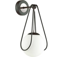 Настенный светильник ODEON LIGHT акрил E14 40W CAROL 4269/1W