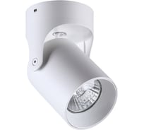 Потолочный накладной светильник ODEON LIGHT GU10 50W CORSUS 3854/1C
