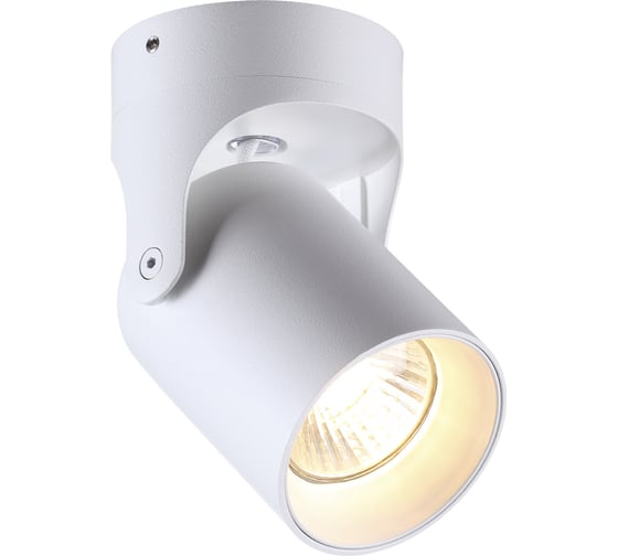 Потолочный накладной светильник ODEON LIGHT GU10 50W CORSUS 3854/1C