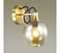 Бра LUMION стекло E27 1Х60W MEGAN 3777_1W 3