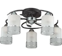Потолочная люстра LUMION металл, стекло E27 5х60W MIRABELLA 3022/5C