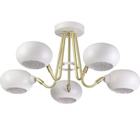 Потолочная люстра LUMION E14 5*40W CIRRUS 4468/5C