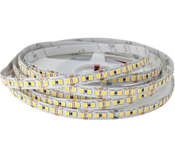 Лента светодиодная truEnergy 19W/m 6000K 24V SMD2835 192D IP20 3000Lm/m 5м 16565