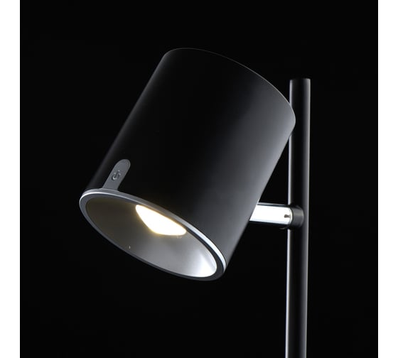 Настольная лампа De Markt Эдгар 6.5W LED 220 V 408032401