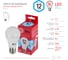 Лампа светодиодная ЭРА LED A6012W840E27 R диод Б0049636 (груша, 12Вт, нейтр, E27) 2