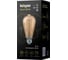 Лампа Navigator NLL-F-ST64-8-230-WWW-E27-GD-WIFI 80555 1