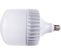 Светодиодная лампа ЭРА STD LED T160-150W-6500-E27/E40 150 Вт колокол, холодный дневной Б0051796