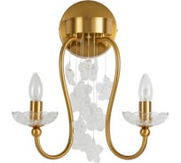Бра Favourite 2871-2W