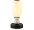 Светильник светодиодный настольный Ambrella Light BK WH черный белый 6W 3000K LH53154 1