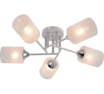 Люстра Rivoli Federica, 5×E27, 60 Вт, модерн, 9178-305 Б0068392