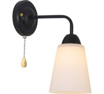 Бра настенный Rivoli Jodie 9190-401 1хЕ27 60 Вт модерн, с выключателем Б0070152