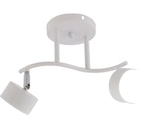 Настенно-потолочный спот Rivoli Batty 7080-702 2хGX53 15 Вт поворотный Б0069918
