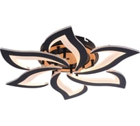 Светильник потолочный светодиодный Rivoli Cassandra 6194-733 LED 3000-6250К 84 Вт с пультом Б0070141