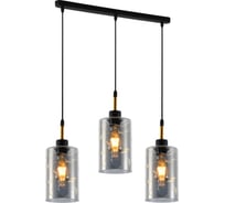 Светильник подвесной (подвес) Rivoli Eileen 9154-203 3хЕ27 60 Вт модерн Б0069952