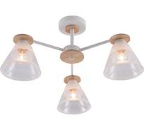 Люстра Rivoli Theothila 9177-303 3 х Е27 60 Вт модерн Б0068434