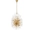 Подвесная люстра LOFT IT Splash 10418/8 5