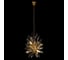 Подвесная люстра LOFT IT Splash 10418/6 6