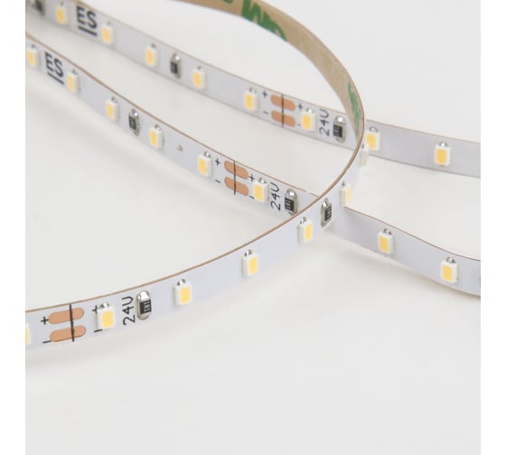 Светодиодная лента Elektrostandard 2116 24V 120Led 8W IP20 6500K холодный белый a056427