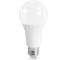 Лампа светодиодная AMBRELLA LIGHT LED A65 25W IC E27 4000K 175-265V 652504 2