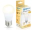 Лампа светодиодная AMBRELLA LIGHT LED G45 13W IC E27 2700K 175-265V 451303 1