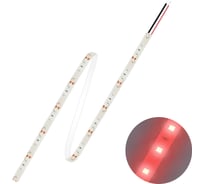 Светодиодная лента FL-LED FL-Strip 2835-S60-R 12W/m RED DC-24V IP20 10х5000мм 613554