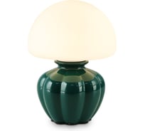 Светильник настольный Ambrella Light GN WH зеленый белый G9 max 28W LH53249