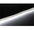 Светодиодная лента 12В 2835(240LED) IP20 19,2Вт 6000К 5м СириусА SLS-12V-IP20-19,2W-2835-6K-5m 2