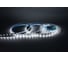 Светодиодная лента 12В 2835(60LED) IP20 4,8Вт 6000К 5м СириусА SLS-12V-IP20-4,8W-2835-6K-5m 1
