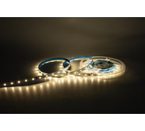 Светодиодная лента Сириус А 12В 2835(60LED) IP20 4,8Вт 4000К 5м SLS-12V-IP20-4,8W-2835-4K-5m
