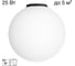 Потолочный светильник Citilux RON чёрный CL941D25B5 2